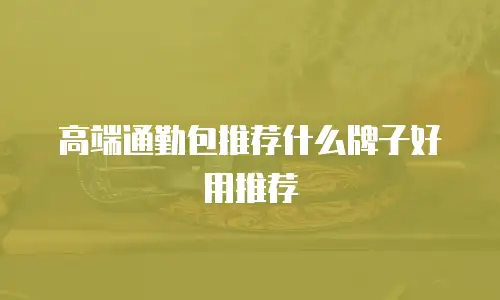 高端通勤包推荐什么牌子好用推荐