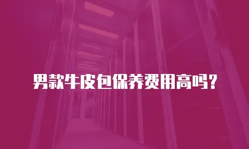 男款牛皮包保养费用高吗？