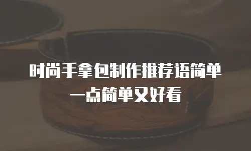 时尚手拿包制作推荐语简单一点简单又好看