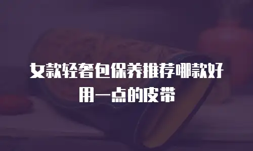 女款轻奢包保养推荐哪款好用一点的皮带