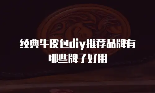 经典牛皮包diy推荐品牌有哪些牌子好用