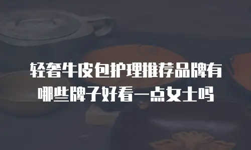 轻奢牛皮包护理推荐品牌有哪些牌子好看一点女士吗