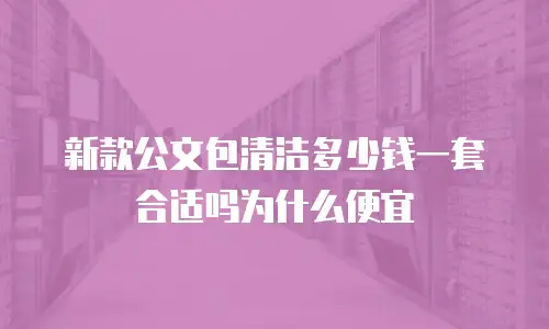 新款公文包清洁多少钱一套合适吗为什么便宜