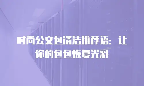 时尚公文包清洁推荐语：让你的包包恢复光彩