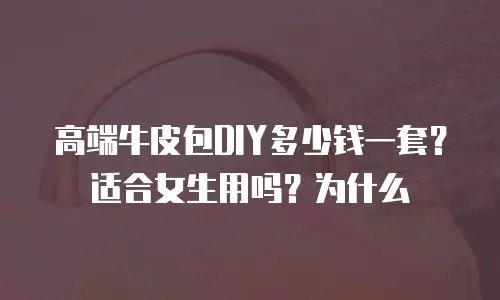 高端牛皮包DIY多少钱一套？适合女生用吗？为什么