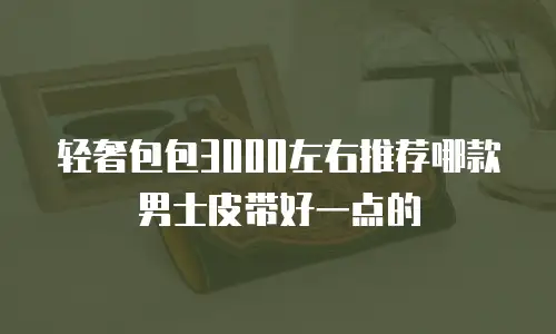轻奢包包3000左右推荐哪款男士皮带好一点的