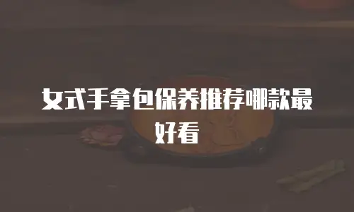 女式手拿包保养推荐哪款最好看