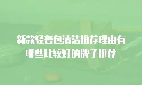新款轻奢包清洁推荐理由有哪些比较好的牌子推荐