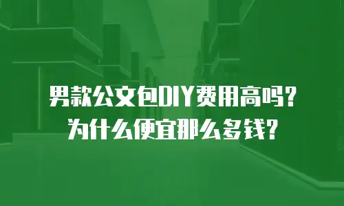男款公文包DIY费用高吗？为什么便宜那么多钱？