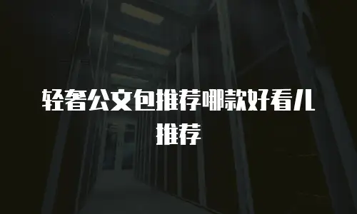 轻奢公文包推荐哪款好看儿推荐