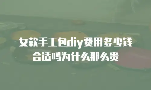 女款手工包diy费用多少钱合适吗为什么那么贵