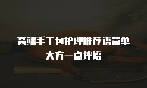 高端手工包护理推荐语简单大方一点评语
