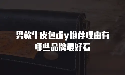 男款牛皮包diy推荐理由有哪些品牌最好看