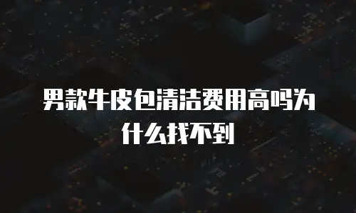男款牛皮包清洁费用高吗为什么找不到