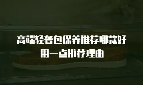 高端轻奢包保养推荐哪款好用一点推荐理由