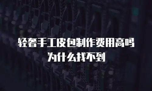 轻奢手工皮包制作费用高吗为什么找不到