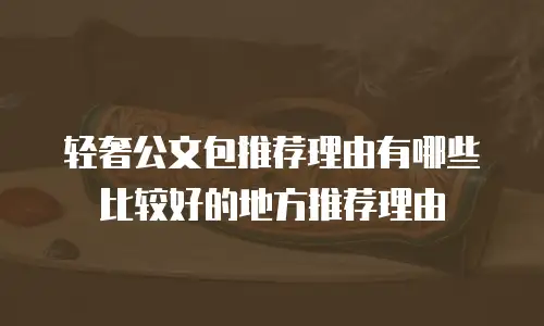 轻奢公文包推荐理由有哪些比较好的地方推荐理由