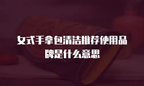 女式手拿包清洁推荐使用品牌是什么意思