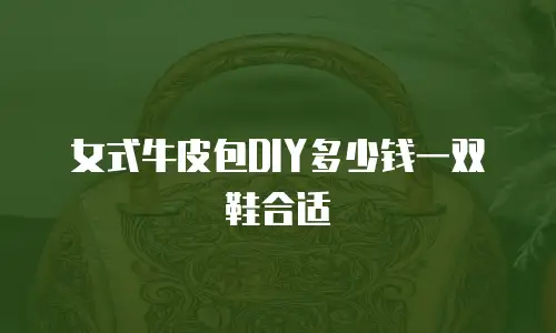 女式牛皮包DIY多少钱一双鞋合适