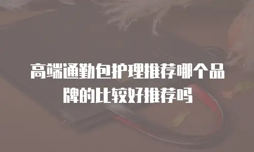 高端通勤包护理推荐哪个品牌的比较好推荐吗