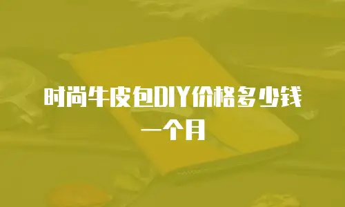 时尚牛皮包DIY价格多少钱一个月