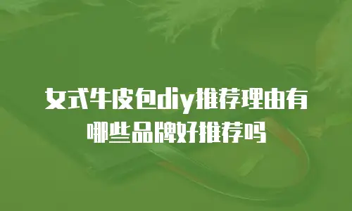 女式牛皮包diy推荐理由有哪些品牌好推荐吗