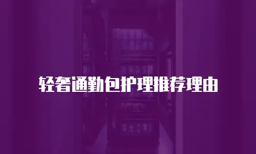 轻奢通勤包护理推荐理由