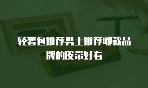轻奢包推荐男士推荐哪款品牌的皮带好看