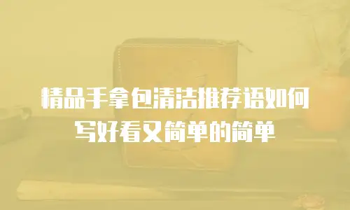 精品手拿包清洁推荐语如何写好看又简单的简单