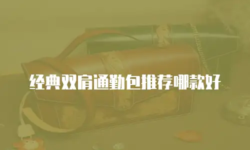 经典双肩通勤包推荐哪款好
