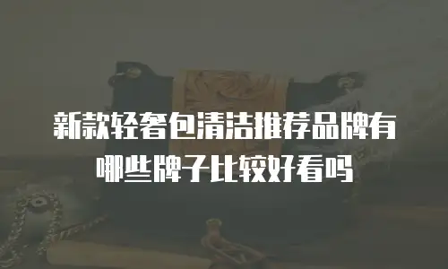 新款轻奢包清洁推荐品牌有哪些牌子比较好看吗