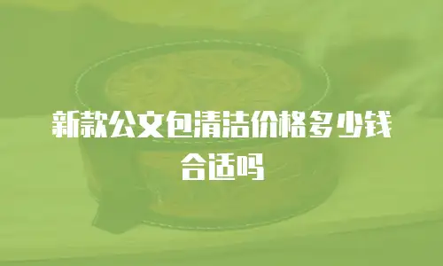 新款公文包清洁价格多少钱合适吗