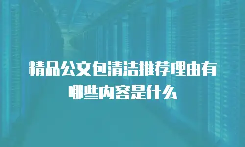 精品公文包清洁推荐理由有哪些内容是什么
