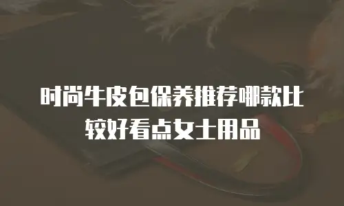 时尚牛皮包保养推荐哪款比较好看点女士用品