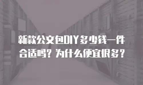 新款公文包DIY多少钱一件合适吗？为什么便宜很多？