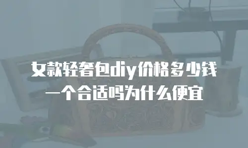 女款轻奢包diy价格多少钱一个合适吗为什么便宜