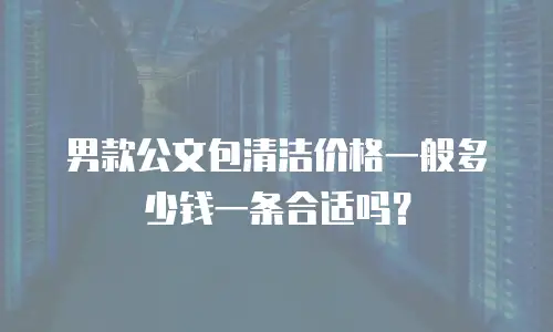 男款公文包清洁价格一般多少钱一条合适吗？