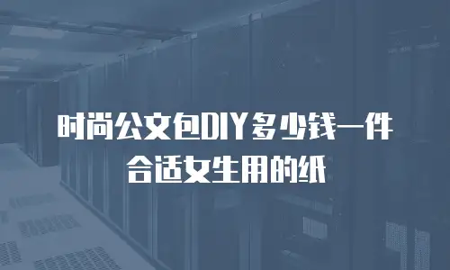 时尚公文包DIY多少钱一件合适女生用的纸