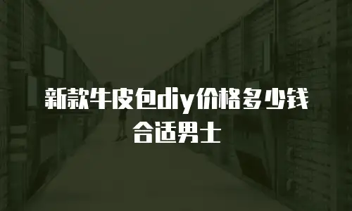 新款牛皮包diy价格多少钱合适男士