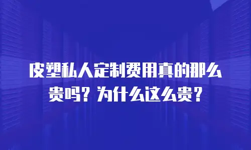 皮塑私人定制费用真的那么贵吗？为什么这么贵？