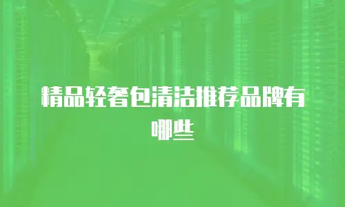 精品轻奢包清洁推荐品牌有哪些