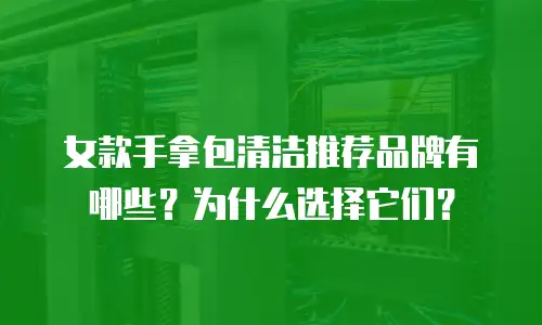 女款手拿包清洁推荐品牌有哪些？为什么选择它们？