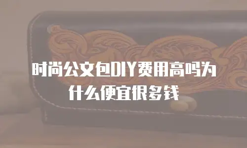 时尚公文包DIY费用高吗为什么便宜很多钱