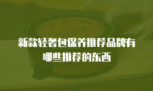 新款轻奢包保养推荐品牌有哪些推荐的东西