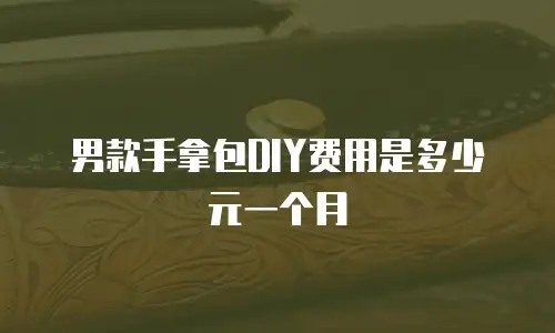 男款手拿包DIY费用是多少元一个月