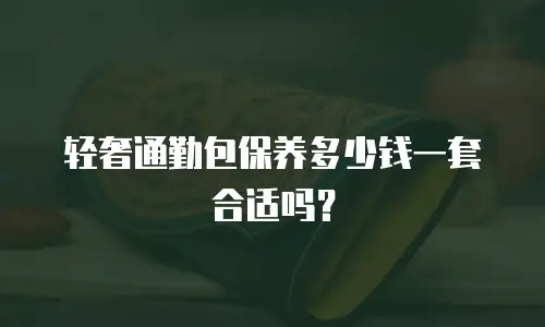 轻奢通勤包保养多少钱一套合适吗？