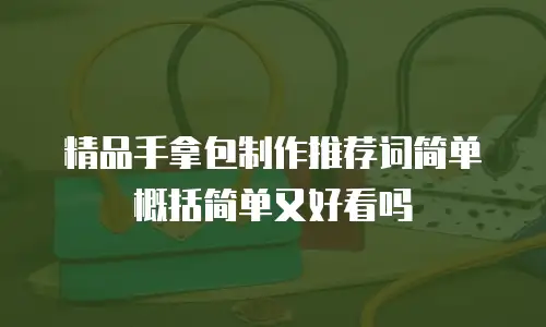 精品手拿包制作推荐词简单概括简单又好看吗
