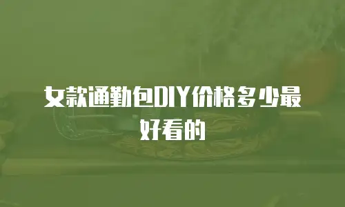 女款通勤包DIY价格多少最好看的