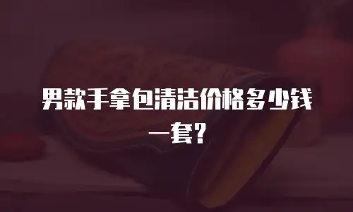 男款手拿包清洁价格多少钱一套？