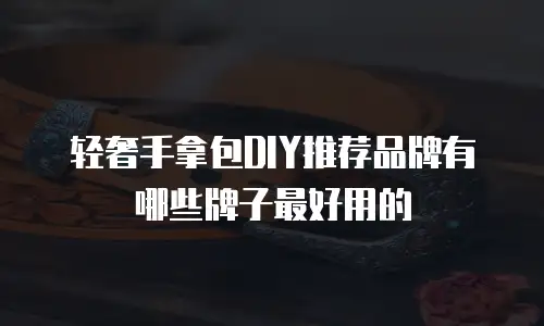 轻奢手拿包DIY推荐品牌有哪些牌子最好用的